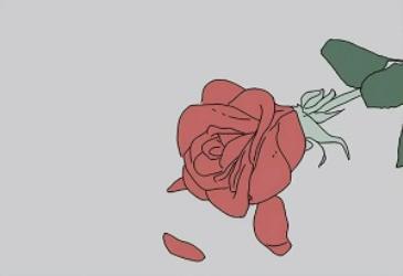 这些成年人的知识，未成年人也一定要懂！