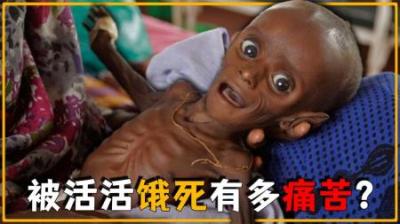 一个人活生生被饿死，会经历些什么？心理摧残比身体摧残更恐怖！