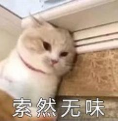 女生须知：12个奇奇怪怪的男生心理知识！(图)