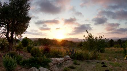 落日在花园上空地球 Earth:太阳落在山上花园的上空，云层在移动。