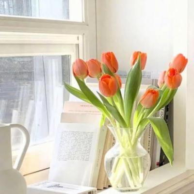 【励志】励志读物小屁孩成长记（小屁孩励志成长日记都包含着什么）