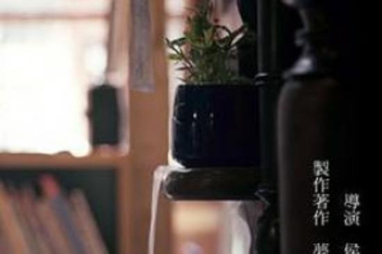恐怖电影《最后的影像》解说文案