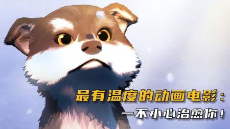 《白牙》解说文案上映3天票房不足60万，这部影片让人心疼！