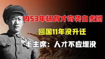 1953年杨育才奇袭白虎团，回国11年没升迁，毛主席：人才不应埋没