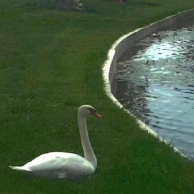 【励志】简单励志人像（简单励志图片白色）