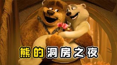 两只熊结婚，但却永远无法洞房！这才是真爱
