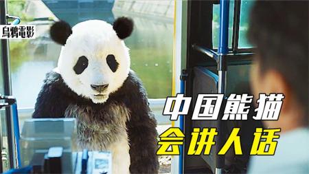 喜剧电影《动物园先生》解说文案(韩国喜剧电影动物园)