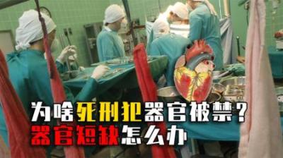为什么我国要禁用死刑犯器官？禁用后出现器官短缺，如何解决？