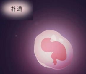 人体敏感部位探索指南（未成年勿入）！