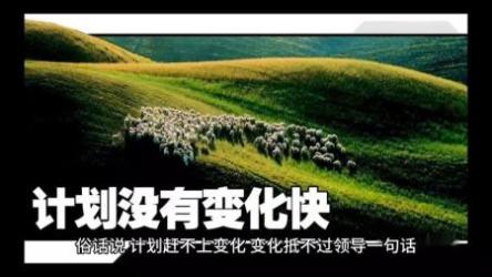 有效训练你的随机应变能力[ali]