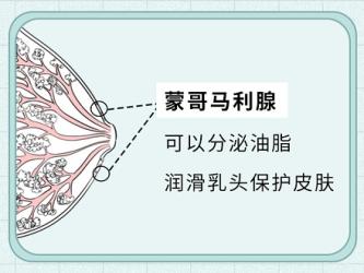 性生活后，身体发生这5个变化正常吗？