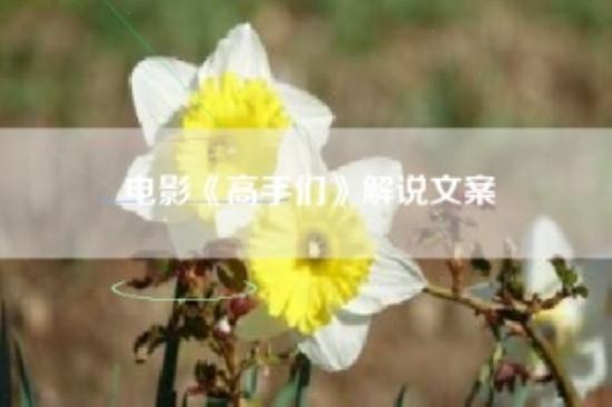 电影《高手们》解说文案