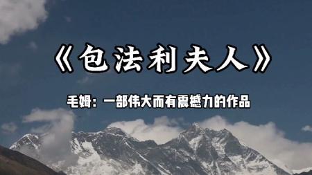 《包法利夫人》解说文案《包法利夫人》——一个女人咎由自取的短暂人生