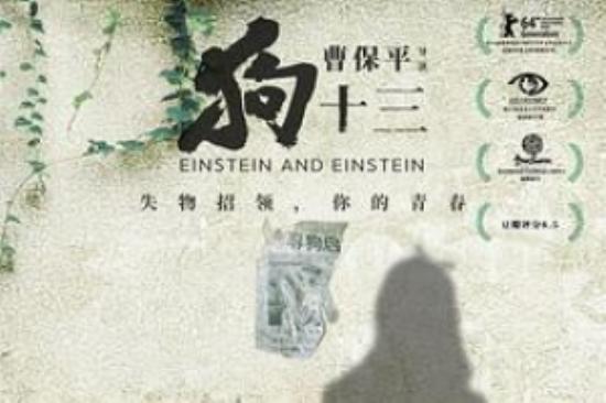 家庭《狗十三》电影解说文案 解说素材 解说词