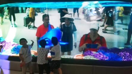 某公众号付费文章《24年旺运指南，旺运秘籍（最终版）