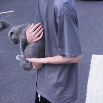 【励志】课外读物励志儿童（有声儿童课外书）