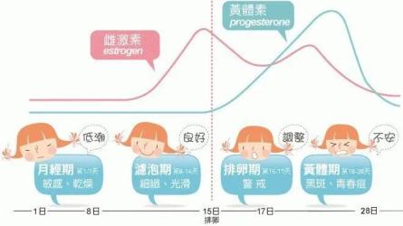 生理期欲望强，正常吗？