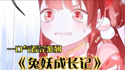 《兔女成长记》全集漫画解说_2