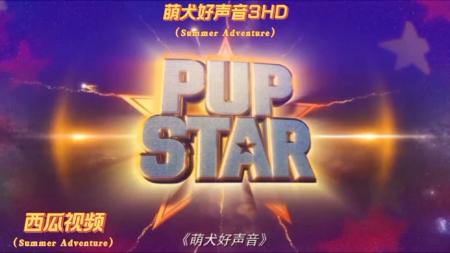 《萌犬好声音》解说文案小狗历险记