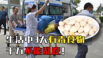 生活中3大有毒食物，路边白果、酷似人参的植物为啥不能吃？