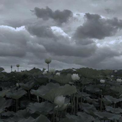 【经典】有关白色车的说说（关于对汽车喜爱的说说）