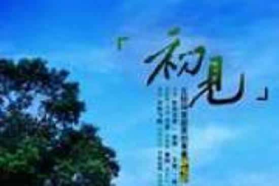 爱情《初见倾心》电影解说文案