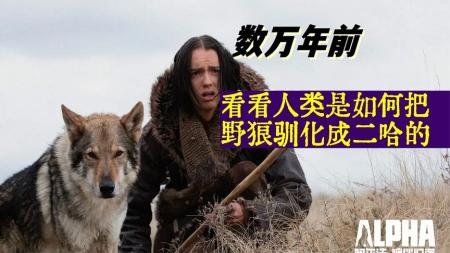 《阿尔法：狼伴归途》人类如何对待动物《阿尔法：狼伴归途》