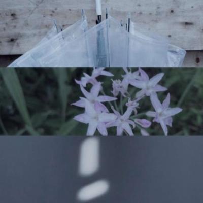 【感悟】疫情期间对于网课的感悟600字（疫情期间网课感悟高中）