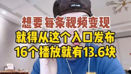 短视频涨粉+变现实战训练营（完结）[ali]