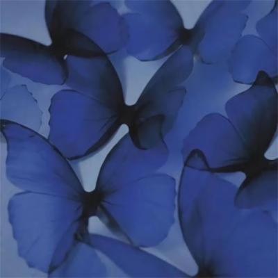 【爱情】端午节情侣之间的祝福语（端午节给女朋友祝福语怎么说）