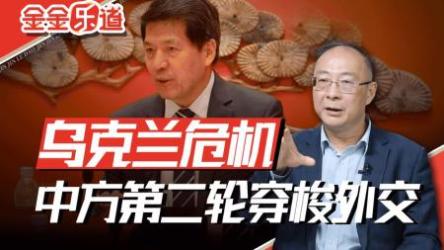 B站-金灿荣-进击的中国外交[ali]