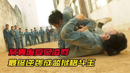 动作《鲨鱼：起点》电影解说文案片源素材
