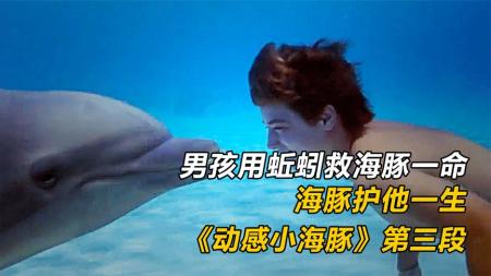 家庭剧情电影《海豚的故事》电影解说文案