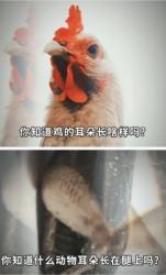 动物的这些部位竟然长这样，99%的人不知道！