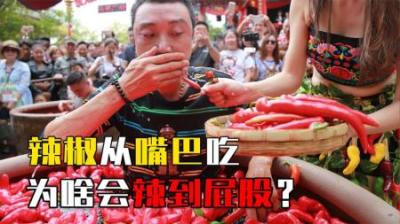辣椒明明是从嘴巴吃进去，为什么会辣屁股？芥末为啥辣鼻子？