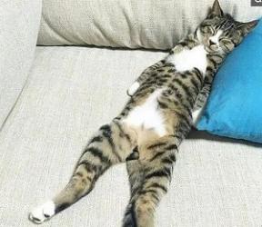 男生的腰，就是这样坏掉的！