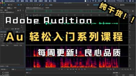 AU高清视频教程[ali]