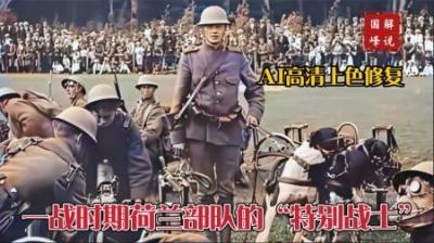 在第一次世界大战中狗的作用有多大？荷兰军队可以说用得最“牛”