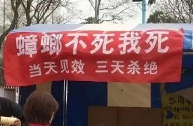 为什么人类永远无法彻底消灭蟑螂？