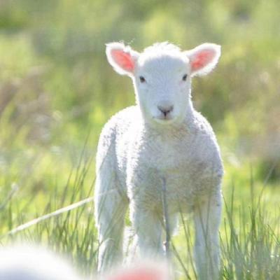 【伤感】碎心石的个性说说（玻璃心一碰就碎的说说）