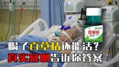 喝了百草枯必死无疑吗？齐鲁医院治百草枯有妙招，已有多人被救!