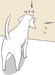 狗朝着没人的地方狂吠，是看到了啥人看不到的东西吗？(图)