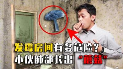 住在发霉房间有多恐怖？年轻小伙肺部长出“蘑菇”，差点丢命！
