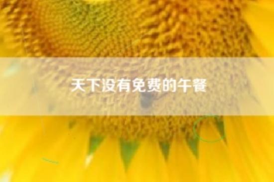 天下没有免费的午餐