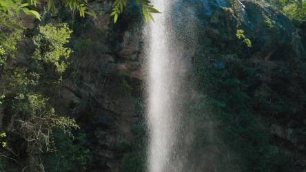 郁郁葱葱的瀑布落入长满苔藓的岩石中水 Water:潘拍摄了一个郁郁葱葱的瀑布在阳光的照射下落入丛林中一块长满苔藓的大岩石中。