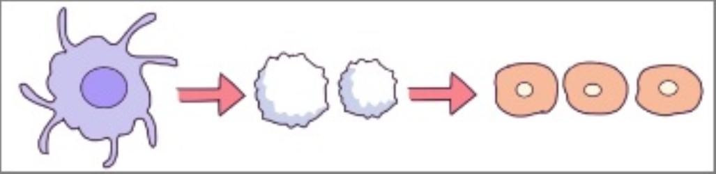 这个身体上最大的器官，差点一夜之间被摧毁…