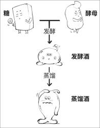 酒的冷知识：30秒搞懂各种酒都是啥！