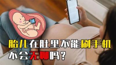 胎儿在肚子里不能刷手机，平时都干啥？吃喝拉撒如何解决？