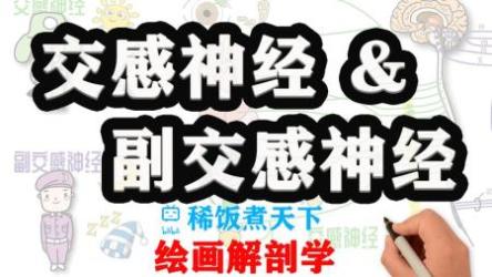 雕塑解剖学（绘画入门参考必备）[ali]