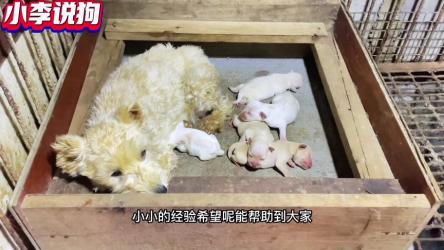 一部手机玩短视频达人创作营